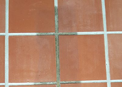 Close up of Teracotta Tiles half cleaned